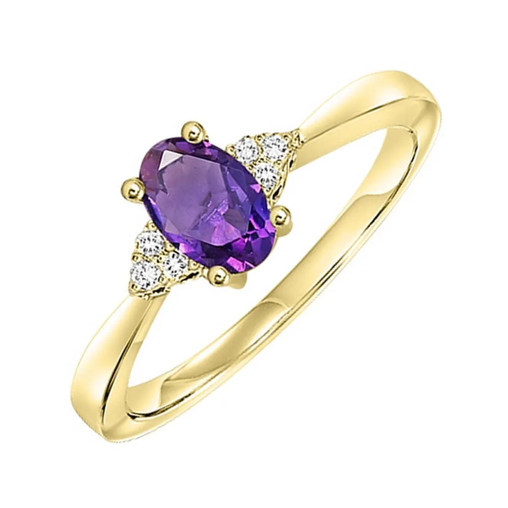 10Kt Yellow Gold Diamond 1/20Ctw & Amethyst 3/8Ctw Ring