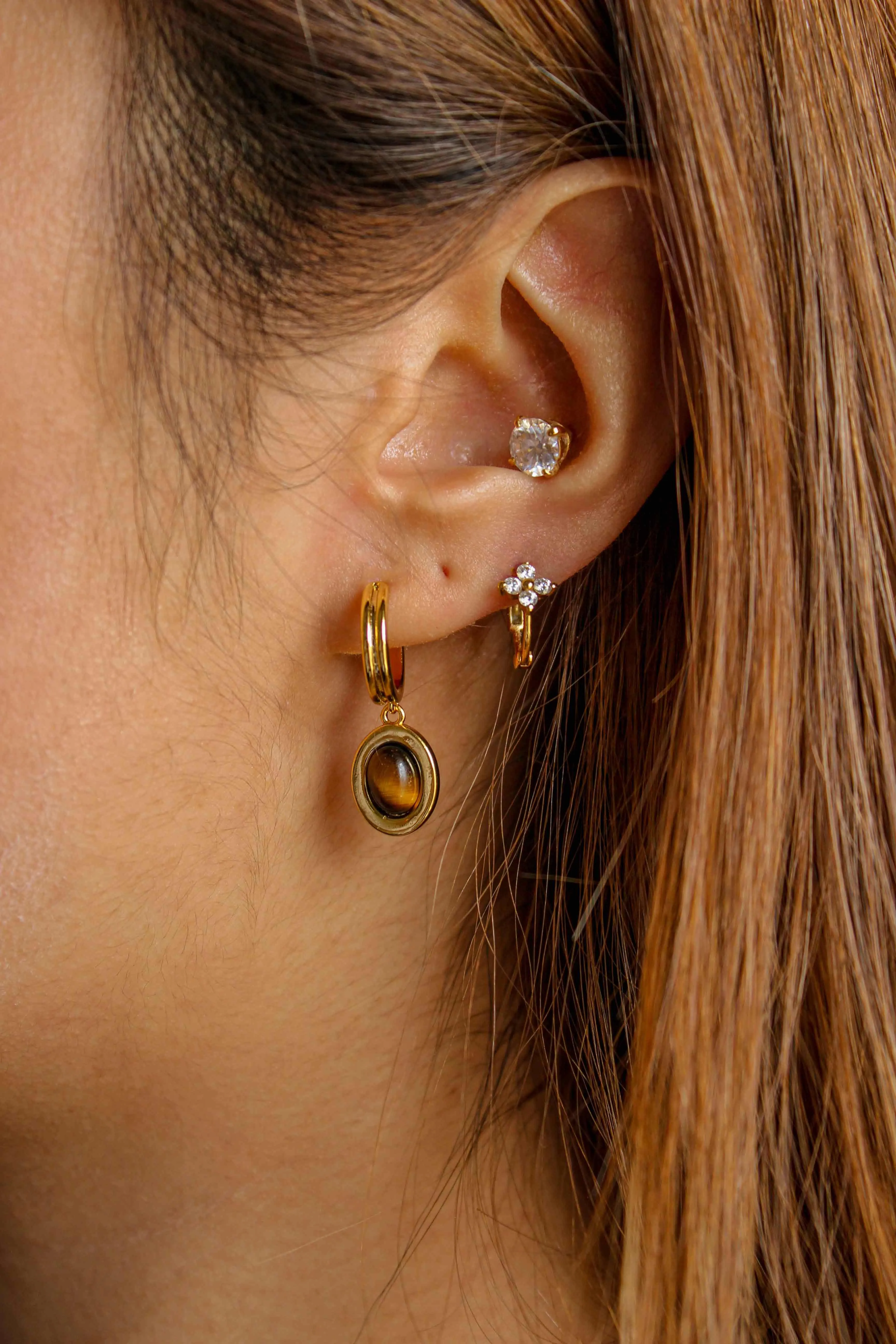 Bron Tiger's Eye Earrings