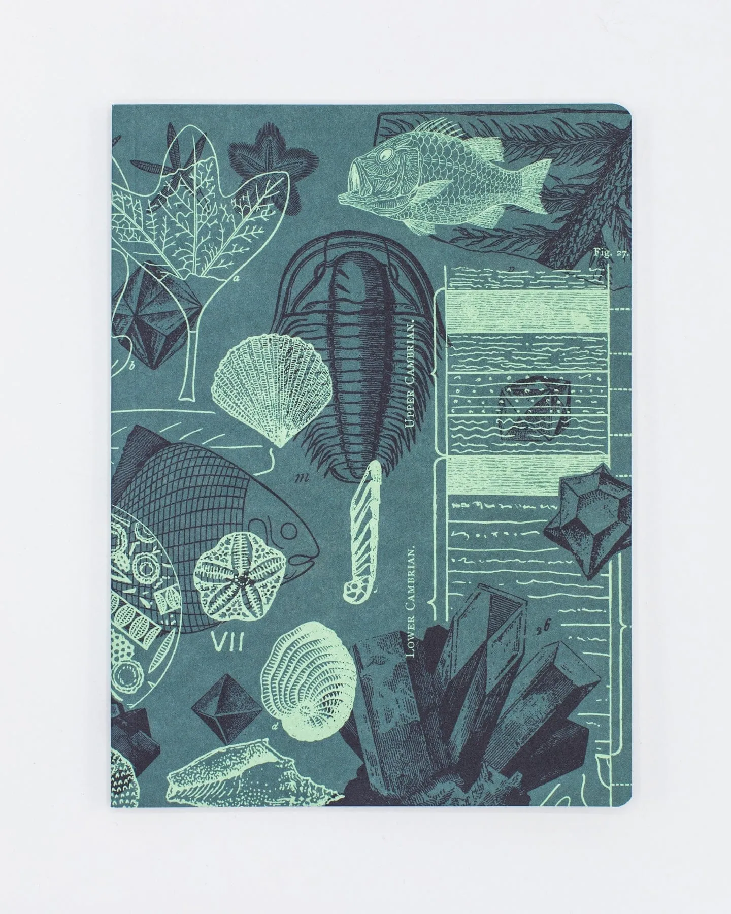 Fossil Softcover Notebook - Lined