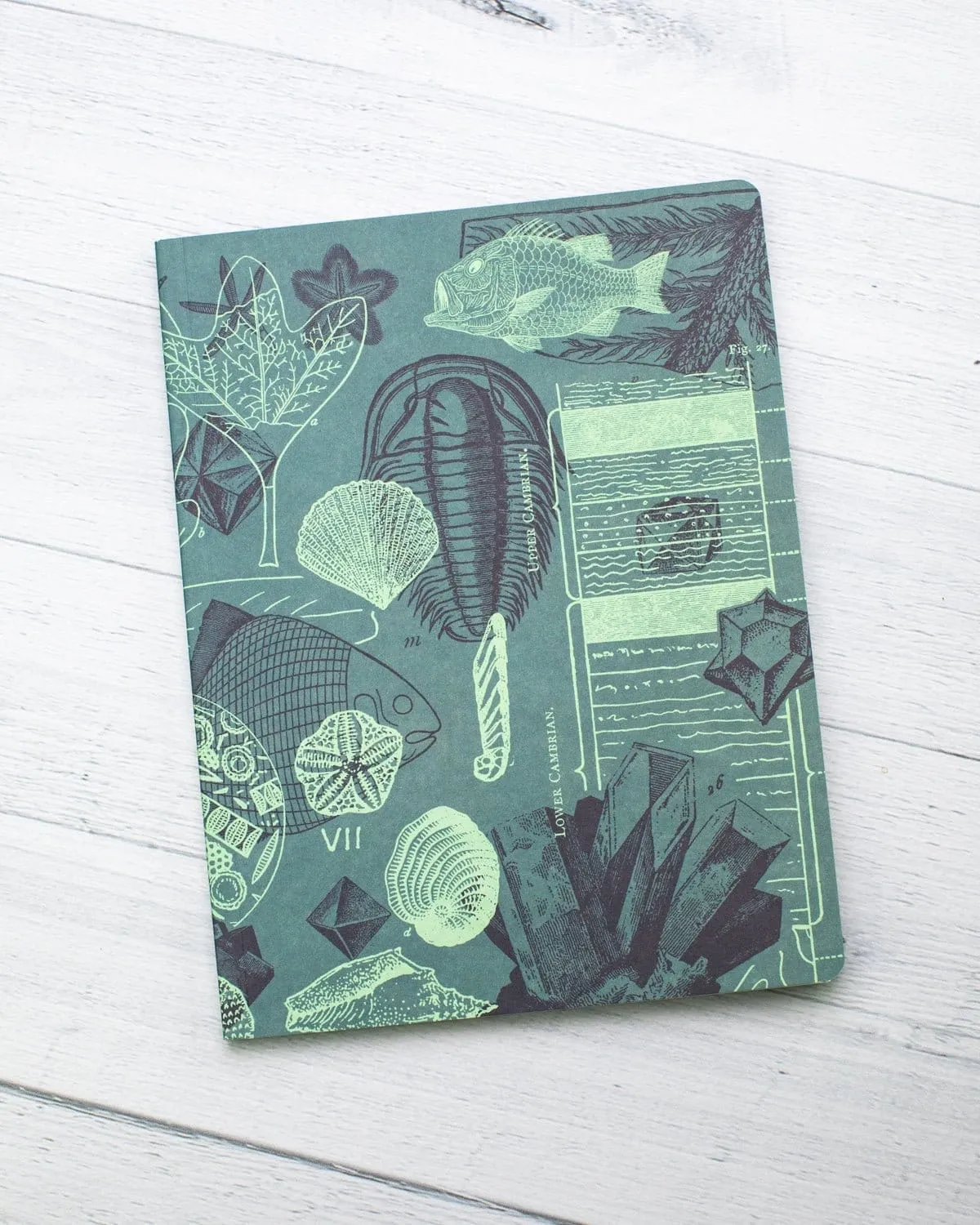 Fossil Softcover Notebook - Lined