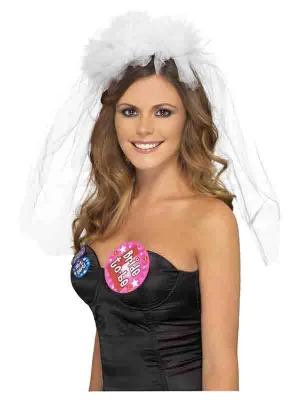 Hen Night Veil