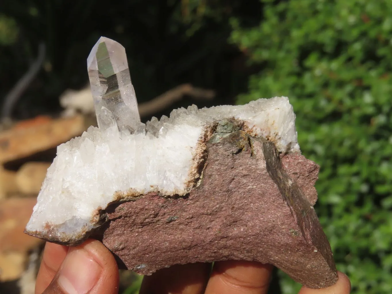 Natural Brandberg Amethyst Quartz Crystals x 6 From Brandberg, Namibia