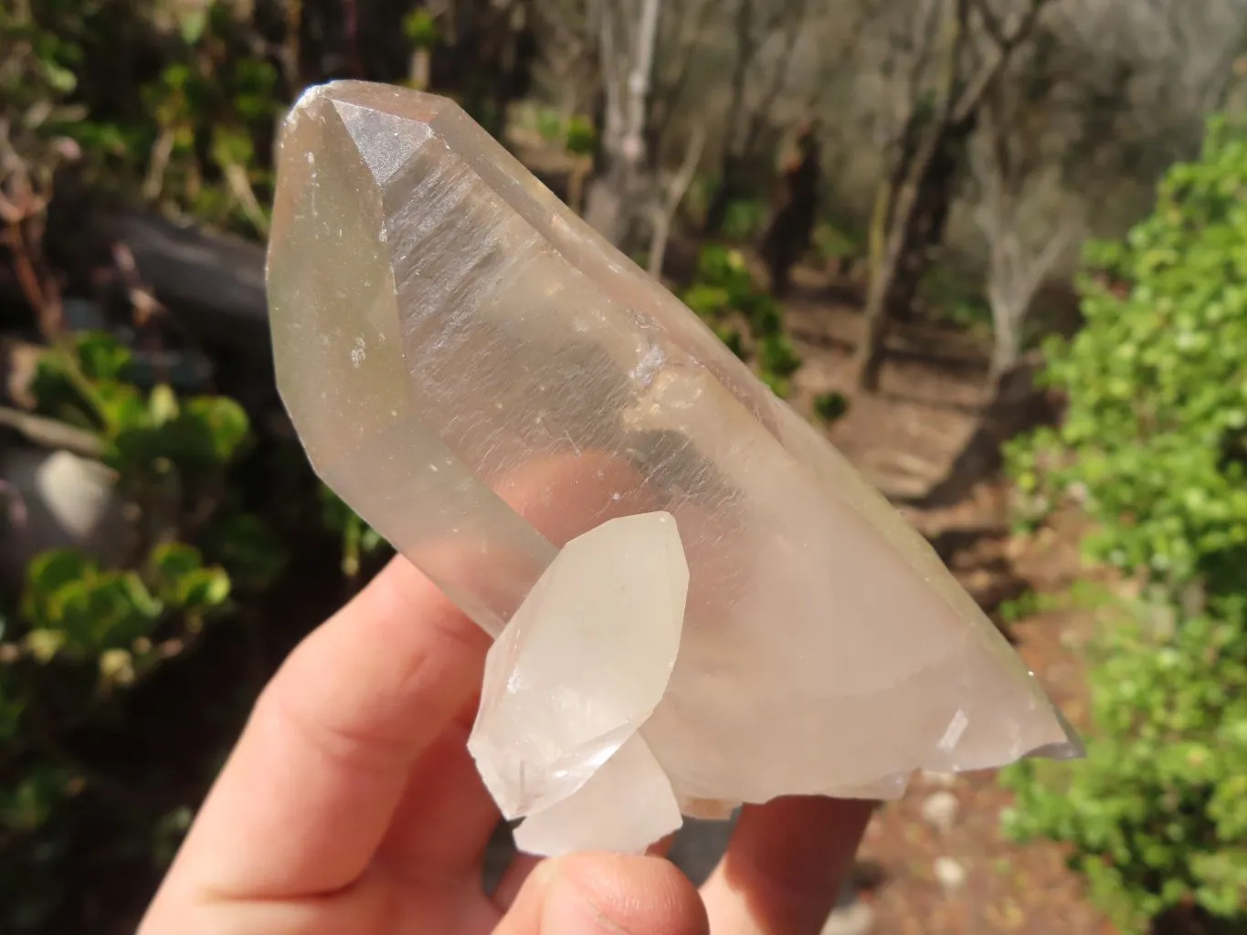 Natural Clear Quartz Specimens x 12 From Madagascar