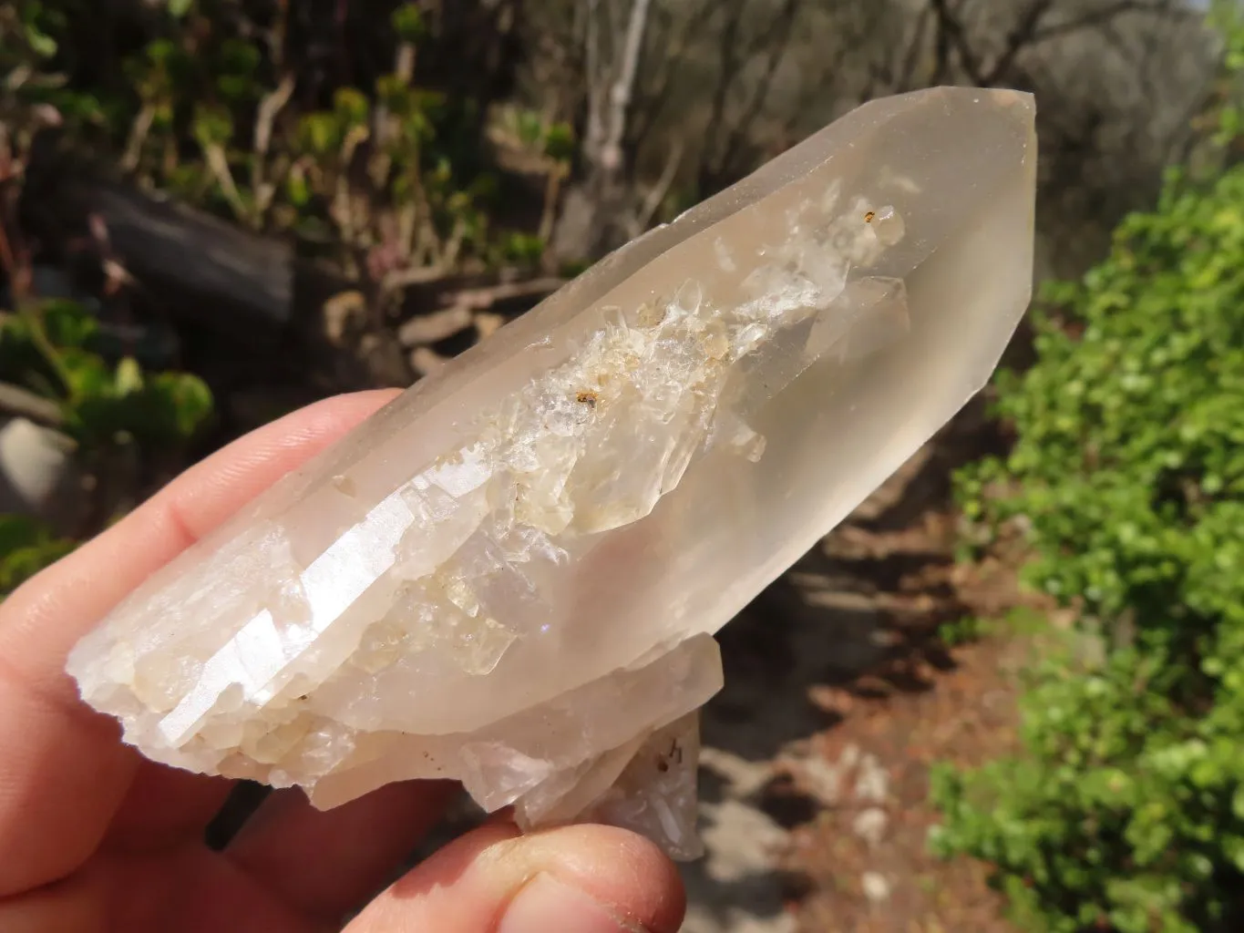 Natural Clear Quartz Specimens x 12 From Madagascar