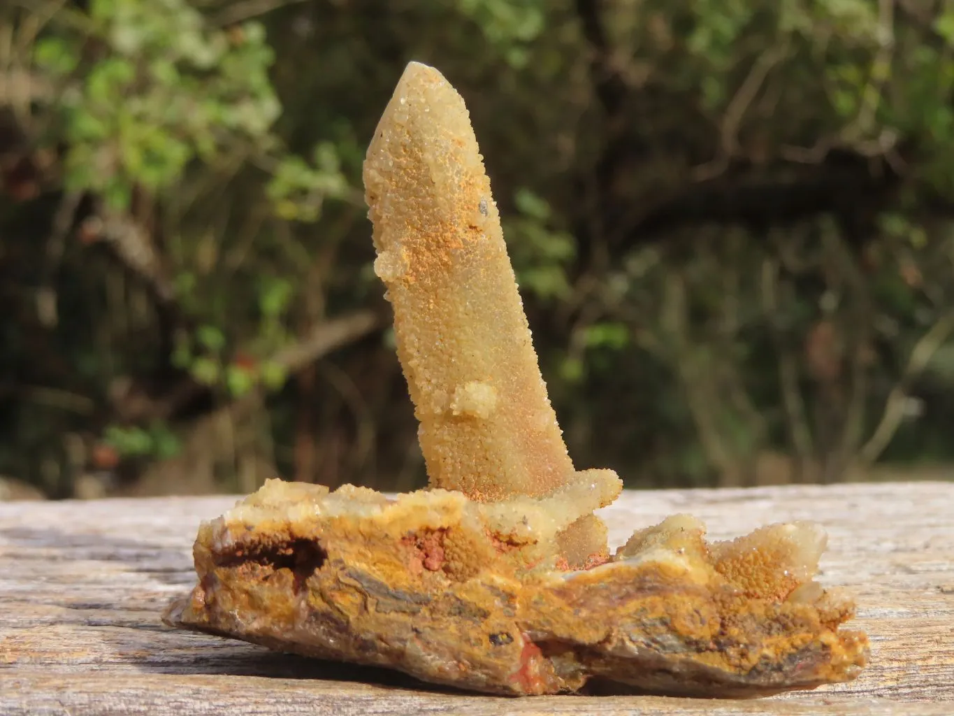 Natural Golden Limonite "Solar" Spirit Quartz Clusters x 24 From Boekenhouthoek, South Africa