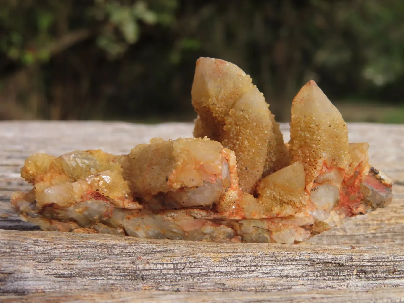 Natural Golden Limonite "Solar" Spirit Quartz Clusters x 24 From Boekenhouthoek, South Africa