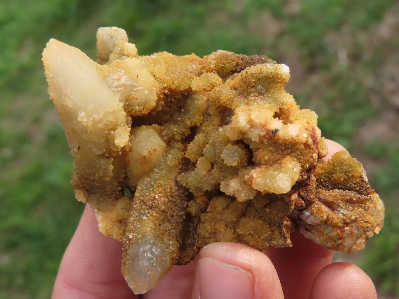 Natural Golden Limonite "Solar" Spirit Quartz Clusters x 24 From Boekenhouthoek, South Africa