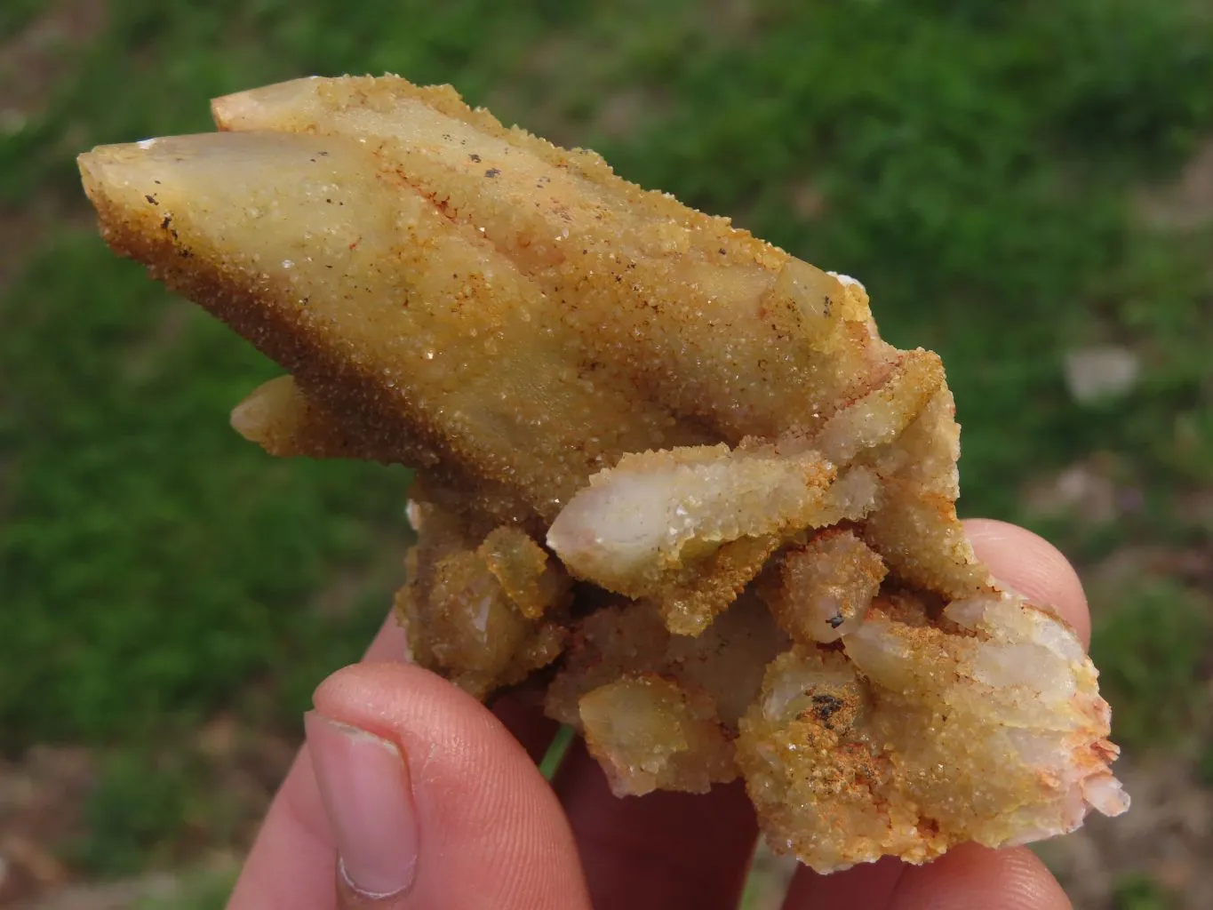 Natural Golden Limonite "Solar" Spirit Quartz Clusters x 24 From Boekenhouthoek, South Africa