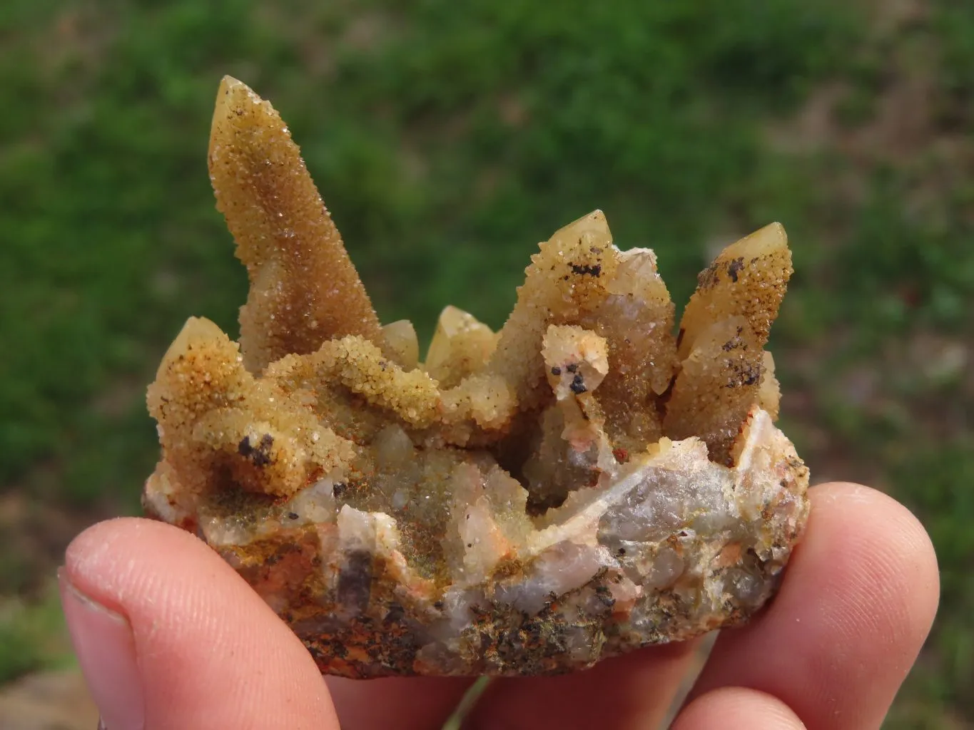 Natural Golden Limonite "Solar" Spirit Quartz Clusters x 24 From Boekenhouthoek, South Africa