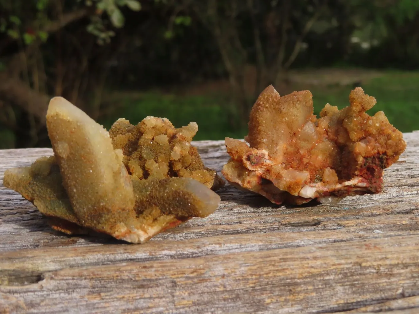 Natural Golden Limonite "Solar" Spirit Quartz Clusters x 24 From Boekenhouthoek, South Africa