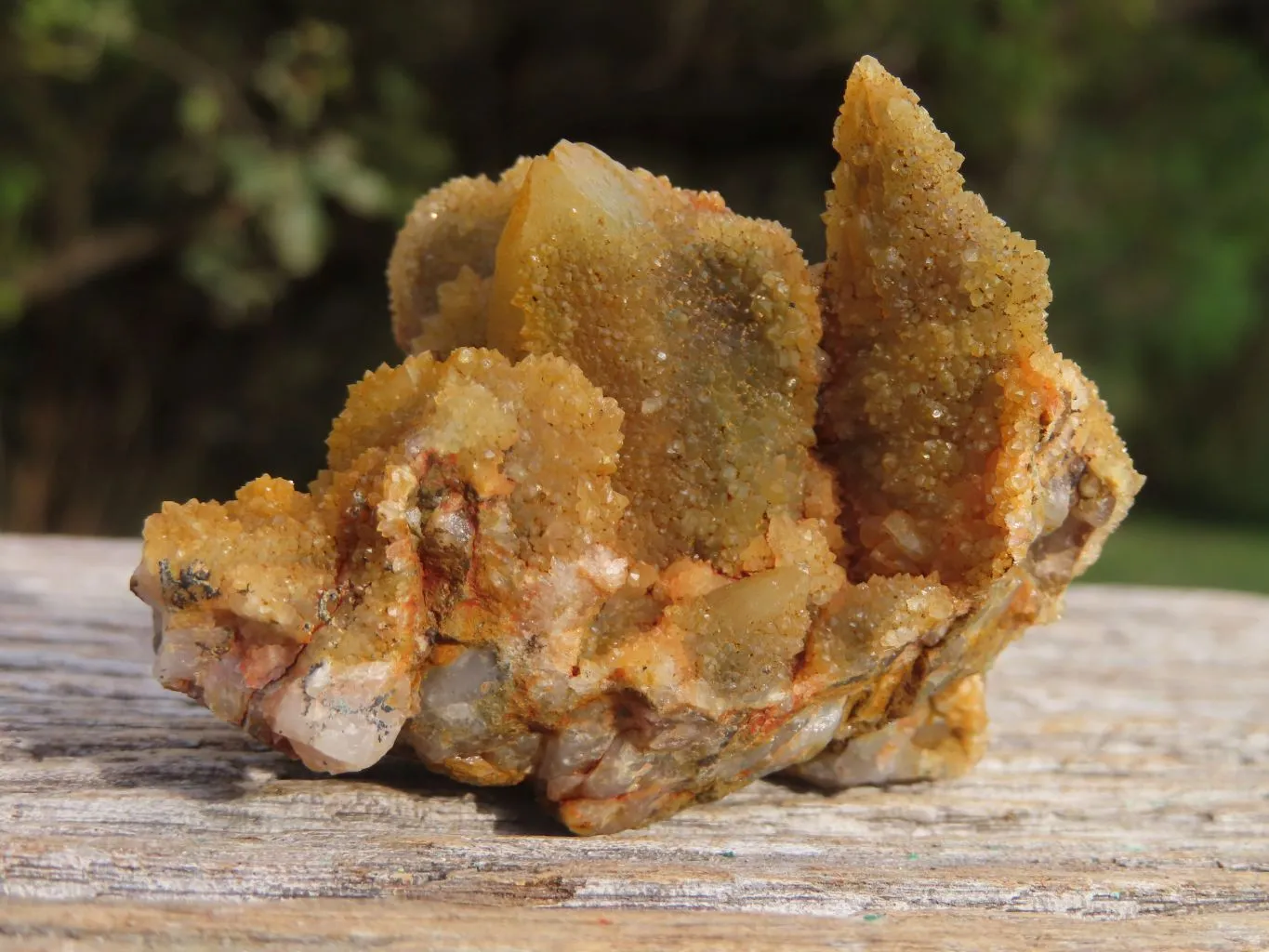 Natural Golden Limonite "Solar" Spirit Quartz Clusters x 24 From Boekenhouthoek, South Africa