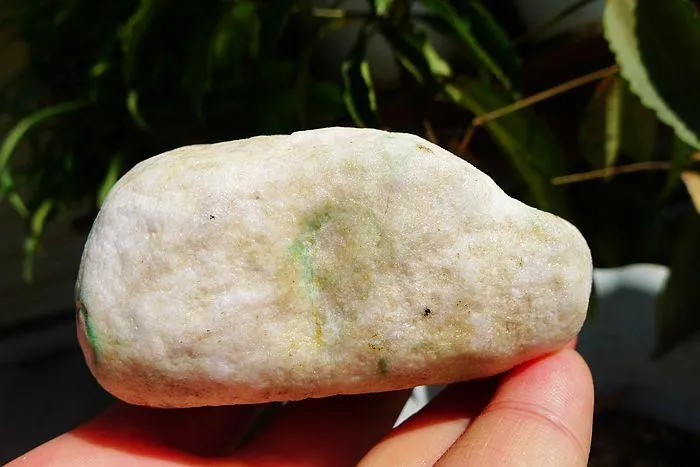 Natural Jade Rough Jadeite Raw (341g,7.6X5.1X4.2cm)