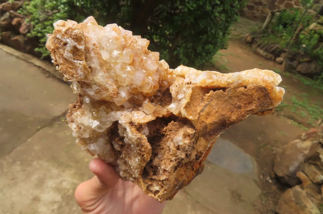 Natural Limonite Quartz Specimens x 3 From Zambia