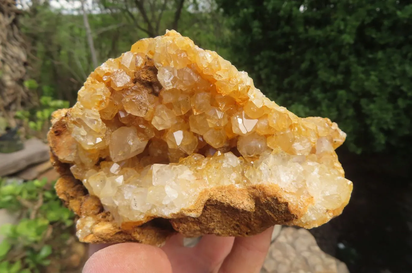 Natural Limonite Quartz Specimens x 3 From Zambia