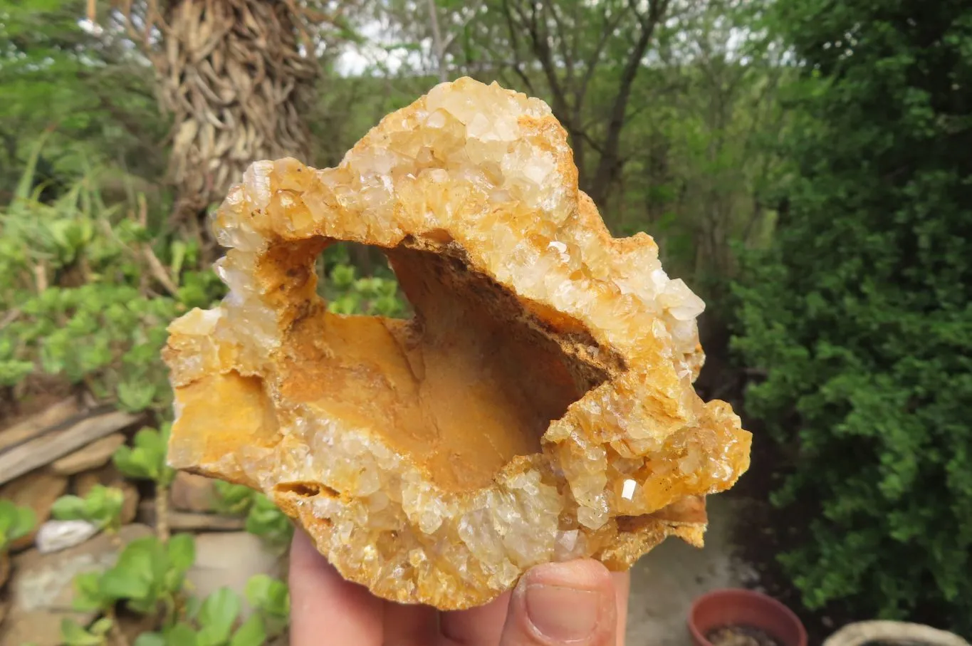 Natural Limonite Quartz Specimens x 3 From Zambia