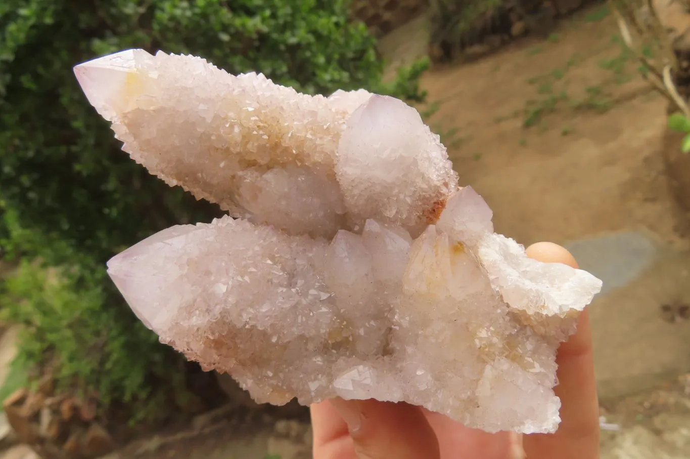 Natural Long Fingered Ametrine Spirit Quartz Clusters x 3 From Boekenhouthoek, South Africa