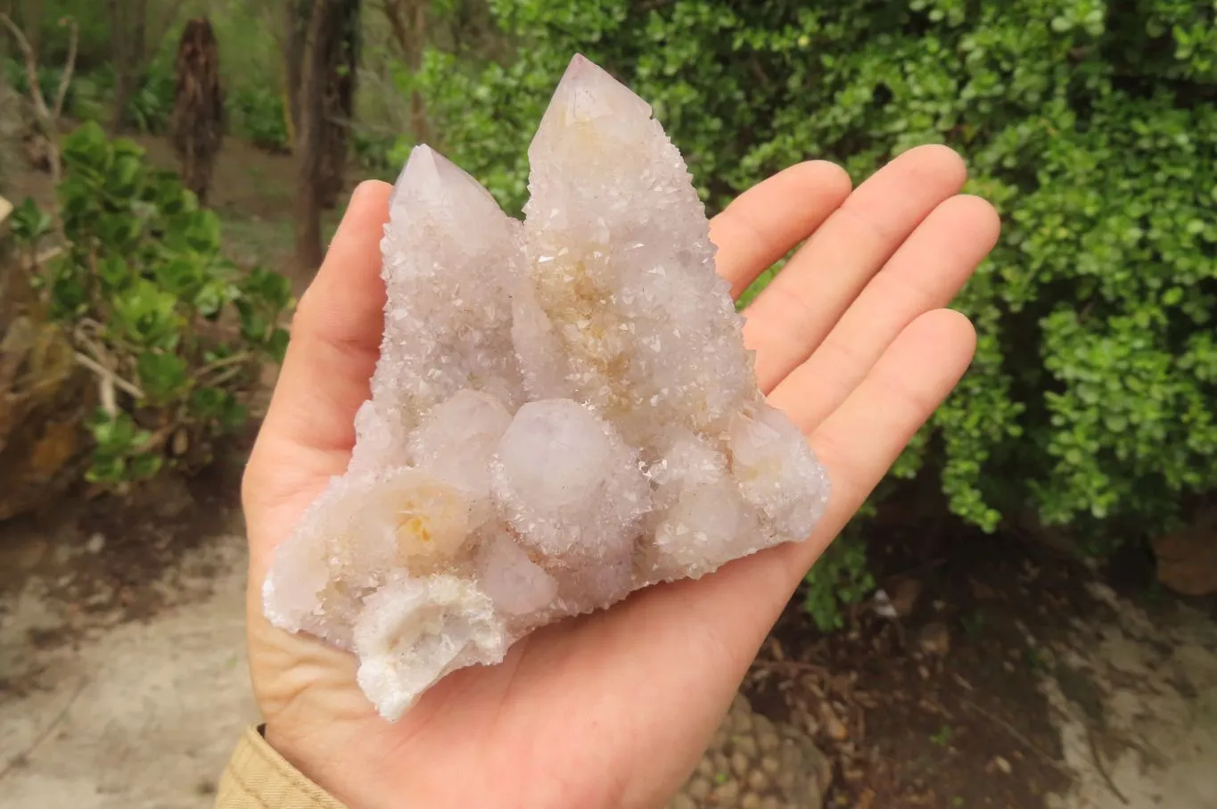 Natural Long Fingered Ametrine Spirit Quartz Clusters x 3 From Boekenhouthoek, South Africa