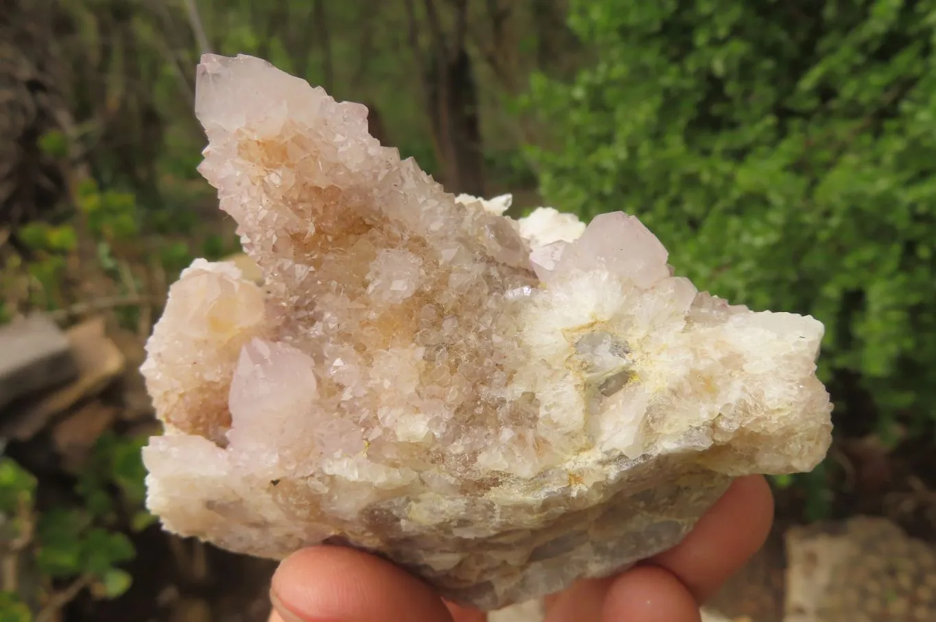 Natural Long Fingered Ametrine Spirit Quartz Clusters x 3 From Boekenhouthoek, South Africa