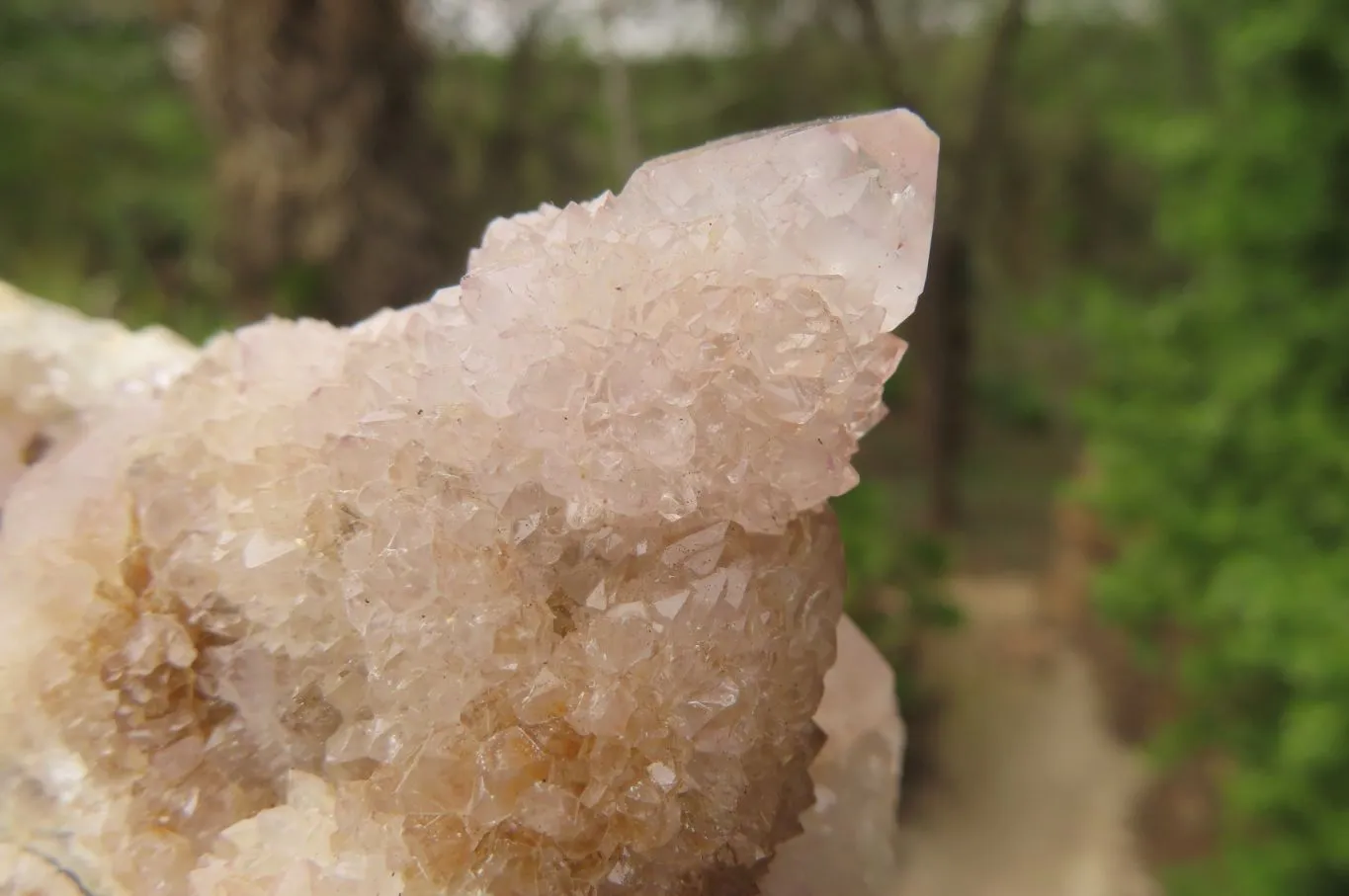 Natural Long Fingered Ametrine Spirit Quartz Clusters x 3 From Boekenhouthoek, South Africa