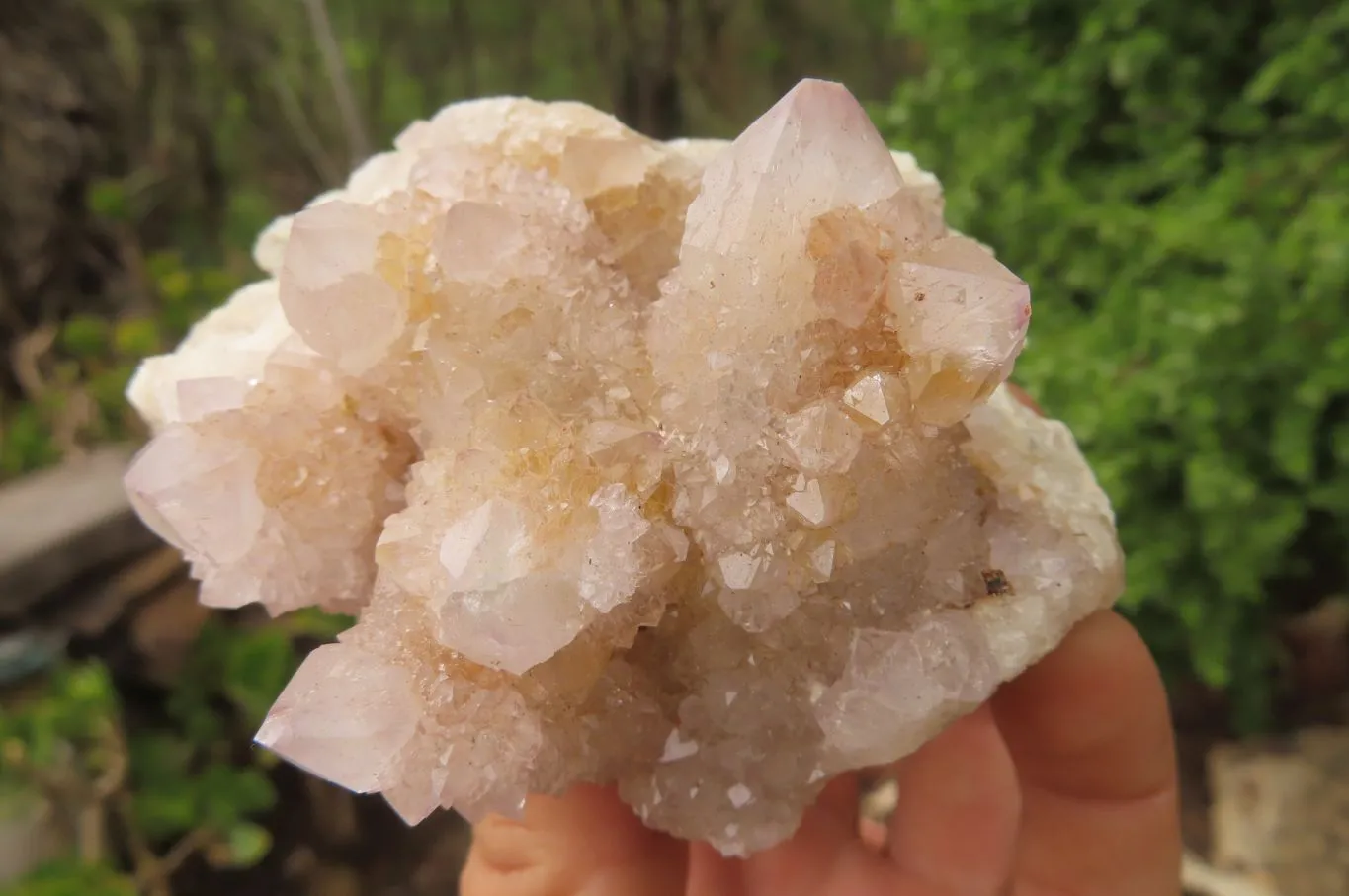 Natural Long Fingered Ametrine Spirit Quartz Clusters x 3 From Boekenhouthoek, South Africa