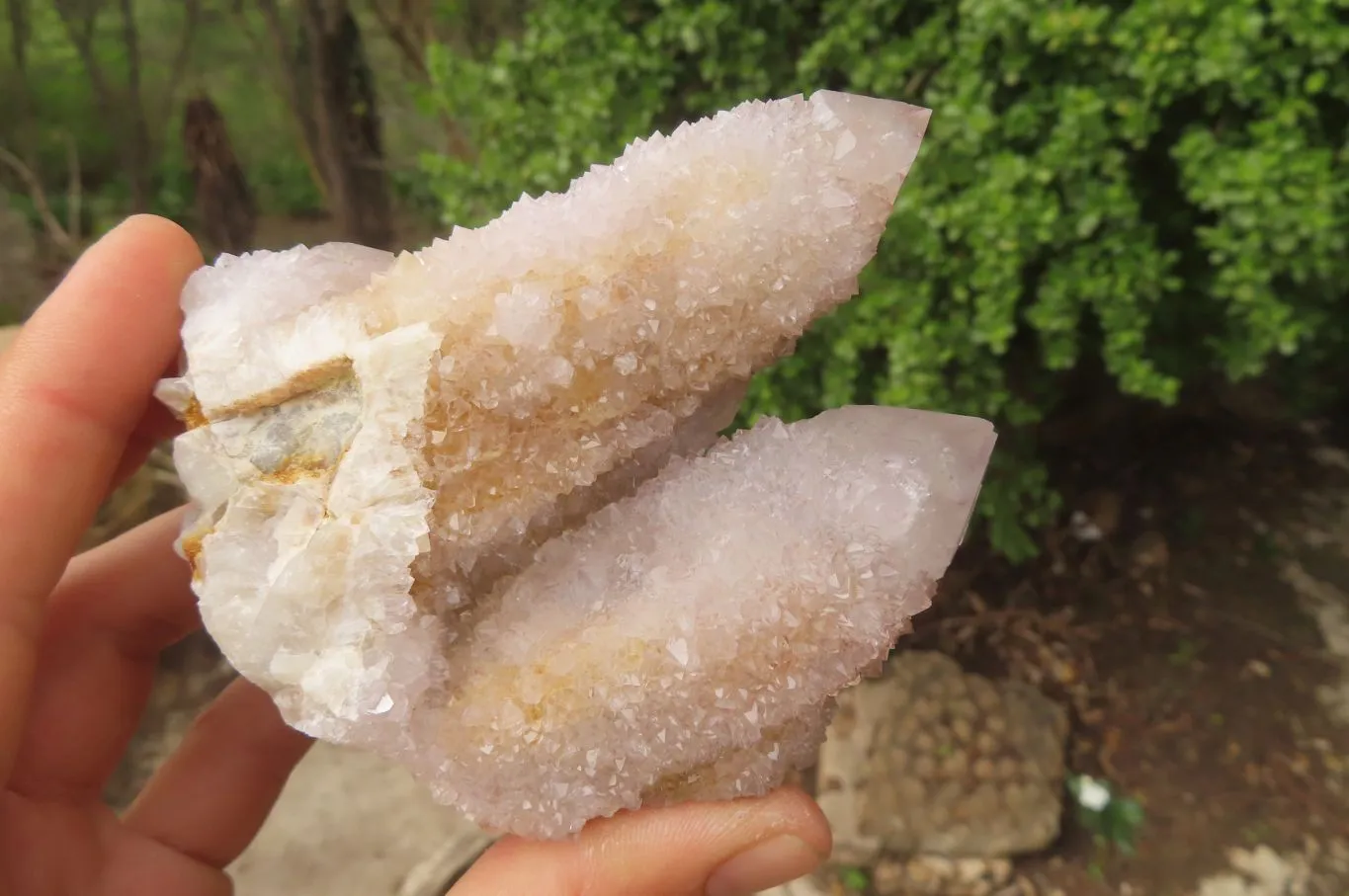 Natural Long Fingered Ametrine Spirit Quartz Clusters x 3 From Boekenhouthoek, South Africa