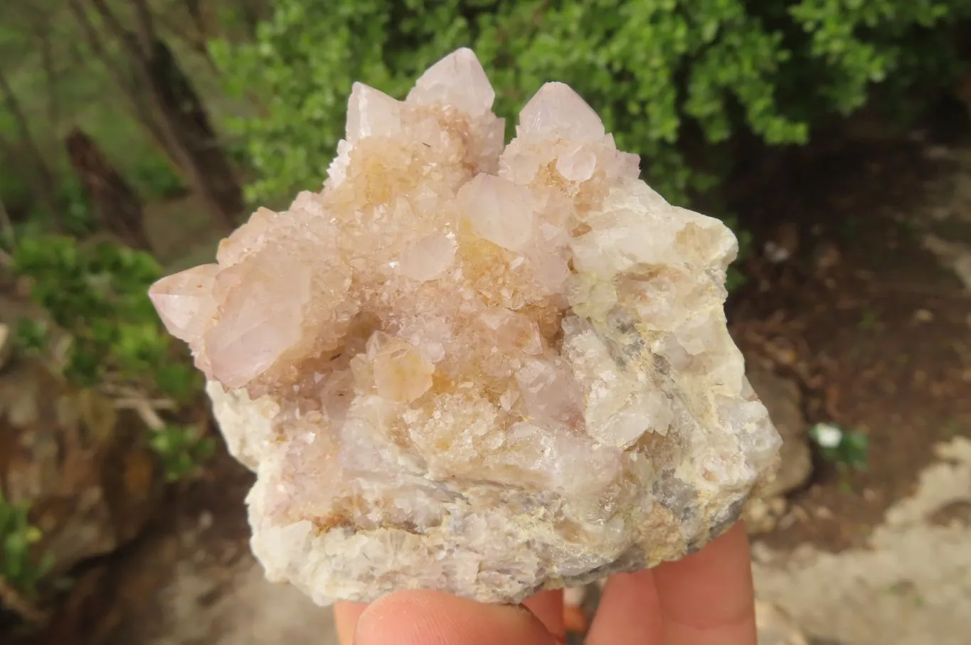 Natural Long Fingered Ametrine Spirit Quartz Clusters x 3 From Boekenhouthoek, South Africa