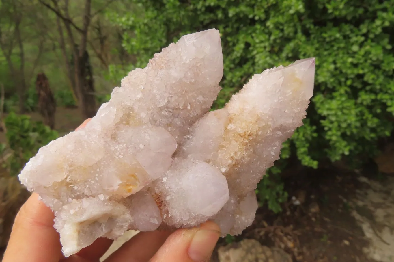 Natural Long Fingered Ametrine Spirit Quartz Clusters x 3 From Boekenhouthoek, South Africa