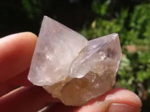 Natural Mixed Spirit Quartz Crystals x 63 From Boekenhouthoek, South Africa