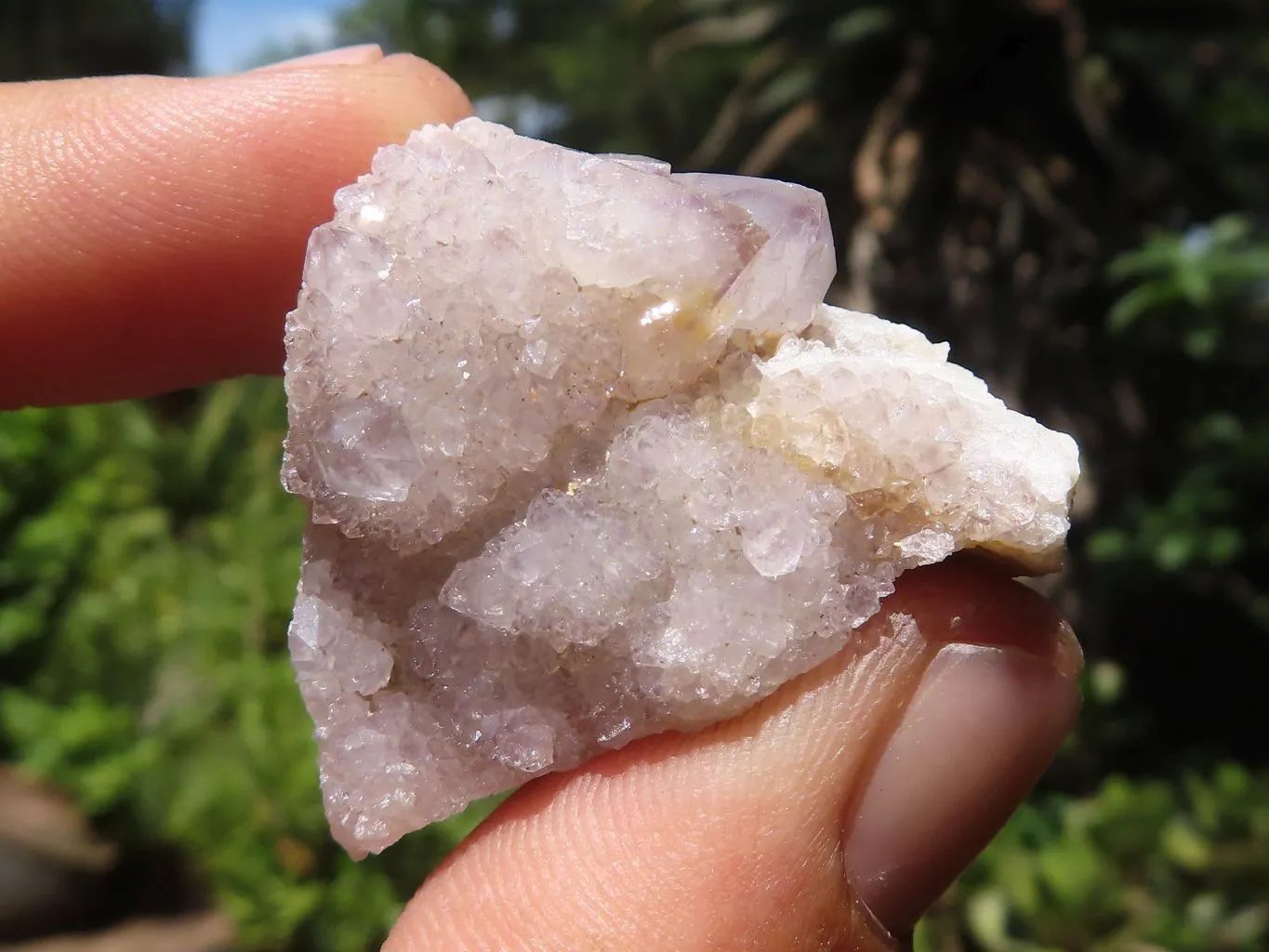 Natural Mixed Spirit Quartz Crystals x 63 From Boekenhouthoek, South Africa