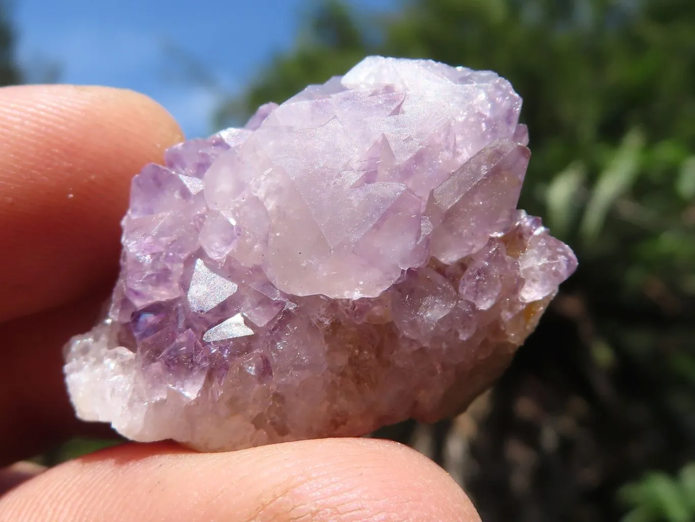 Natural Mixed Spirit Quartz Crystals x 63 From Boekenhouthoek, South Africa