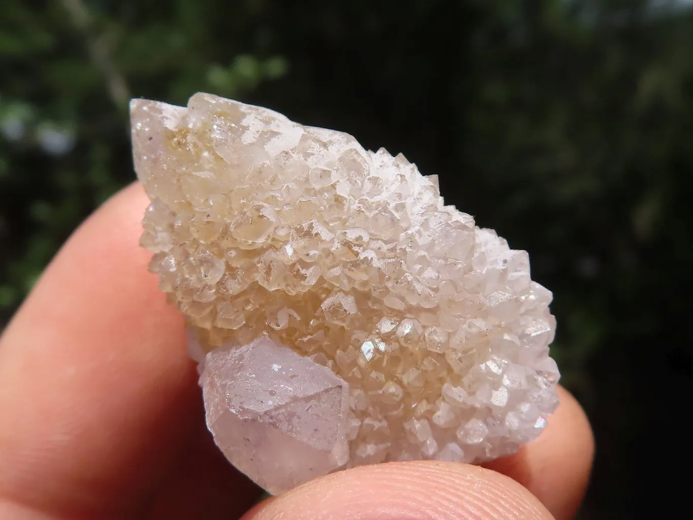 Natural Mixed Spirit Quartz Crystals x 63 From Boekenhouthoek, South Africa