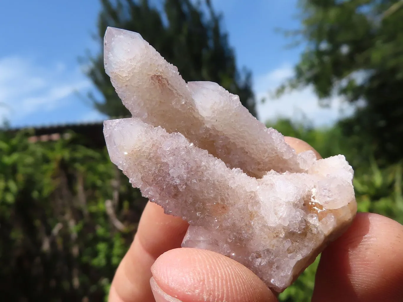 Natural Mixed Spirit Quartz Crystals x 63 From Boekenhouthoek, South Africa