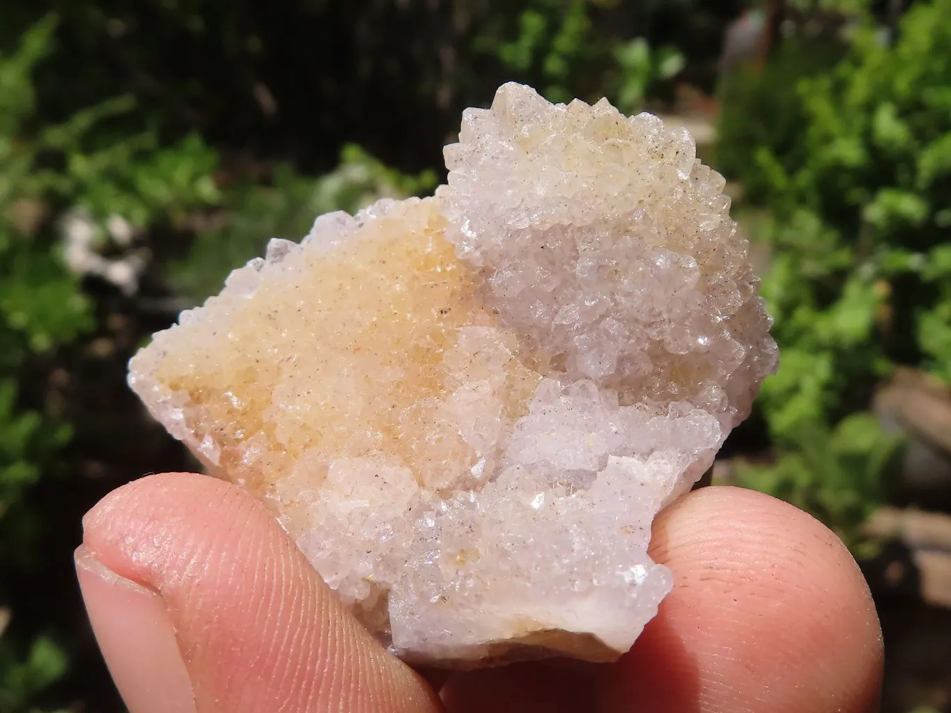 Natural Mixed Spirit Quartz Crystals x 63 From Boekenhouthoek, South Africa