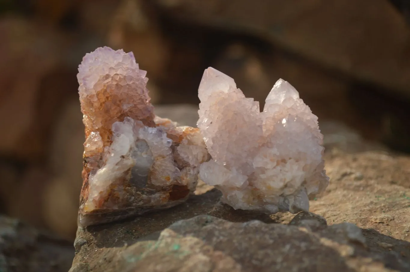 Natural Pale Amethyst Spirit Quartz Clusters x 20 From Boekenhouthoek, South Africa