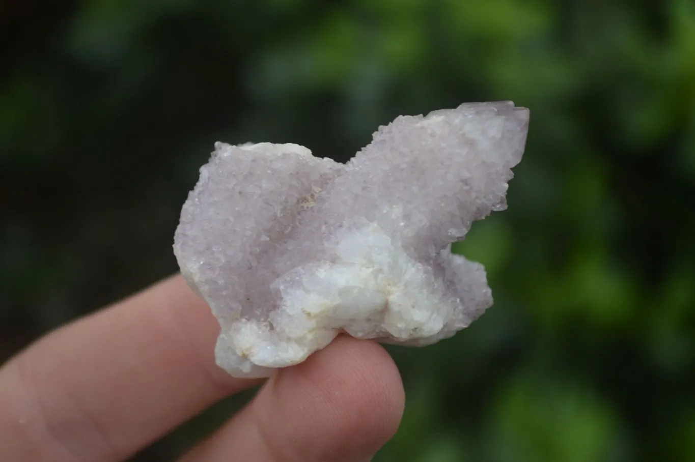 Natural Small Spirit Amethyst Quartz Crystals x 63 From Boekenhouthoek, South Africa