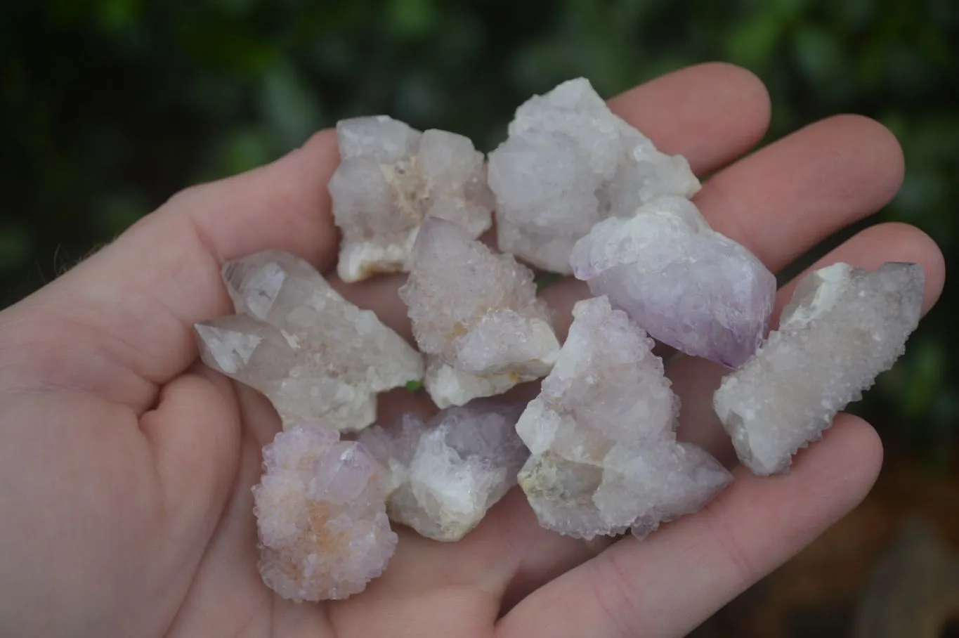 Natural Small Spirit Amethyst Quartz Crystals x 63 From Boekenhouthoek, South Africa