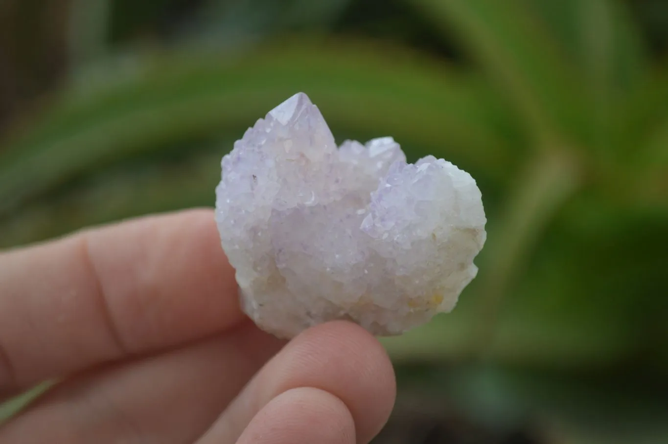 Natural Small Spirit Amethyst Quartz Crystals x 63 From Boekenhouthoek, South Africa