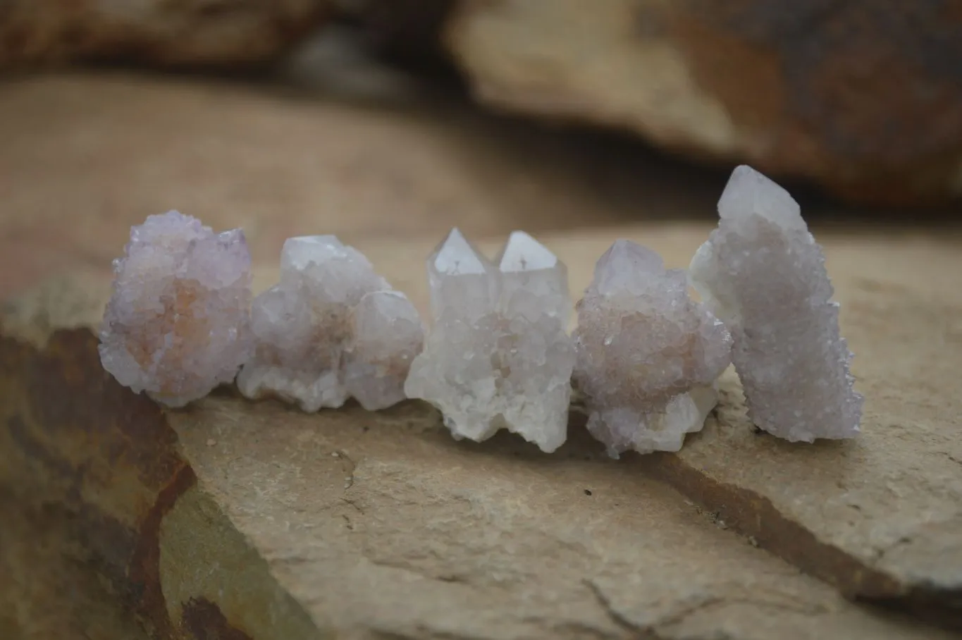 Natural Small Spirit Amethyst Quartz Crystals x 63 From Boekenhouthoek, South Africa