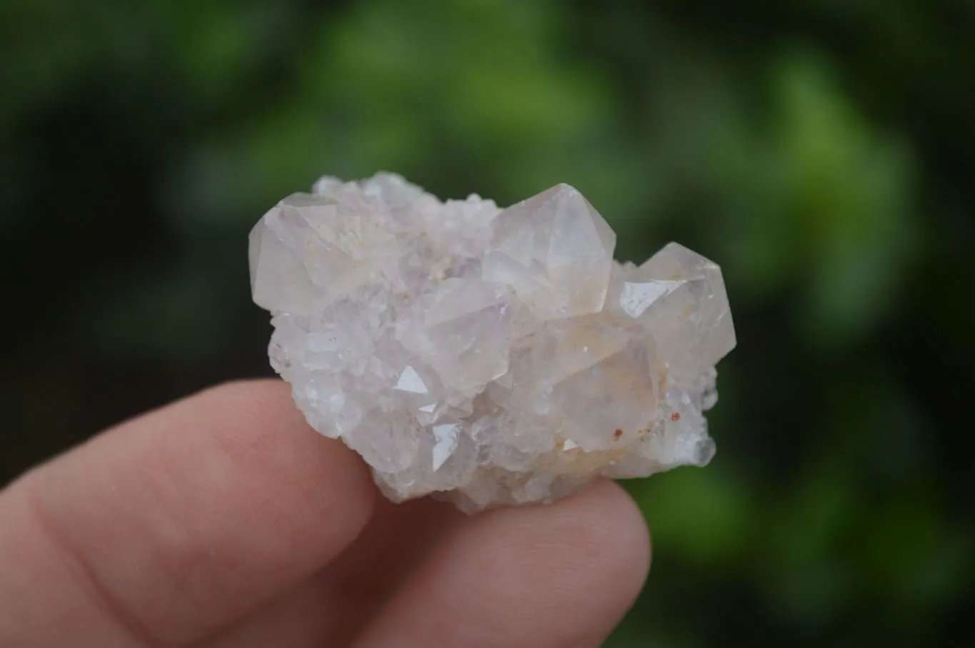 Natural Small Spirit Amethyst Quartz Crystals x 63 From Boekenhouthoek, South Africa