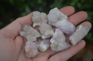 Natural Small Spirit Amethyst Quartz Crystals x 63 From Boekenhouthoek, South Africa