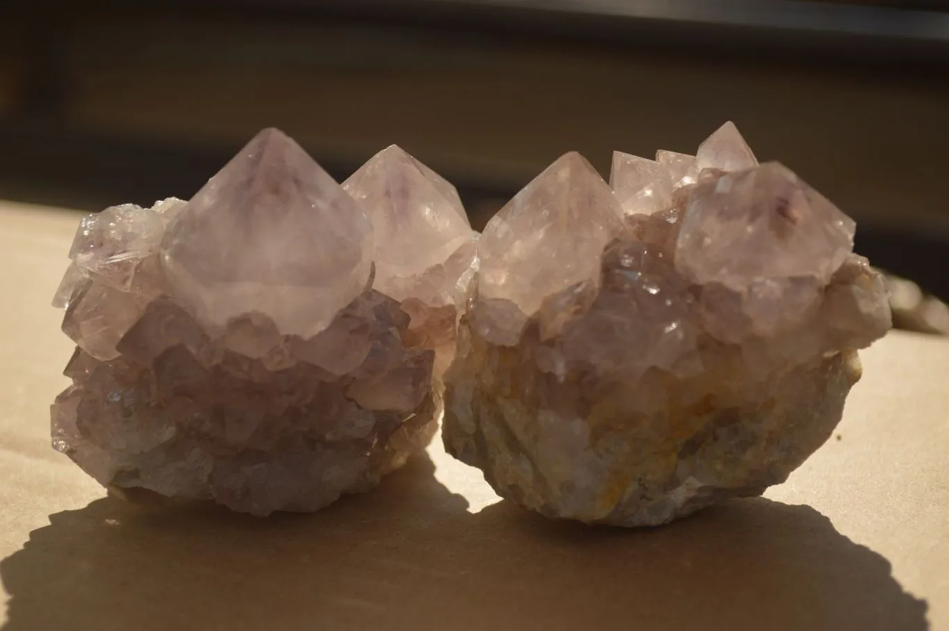 Natural Sunburst Cactus Flower Amethyst Quartz Clusters x 12 From Boekenhouthoek, South Africa