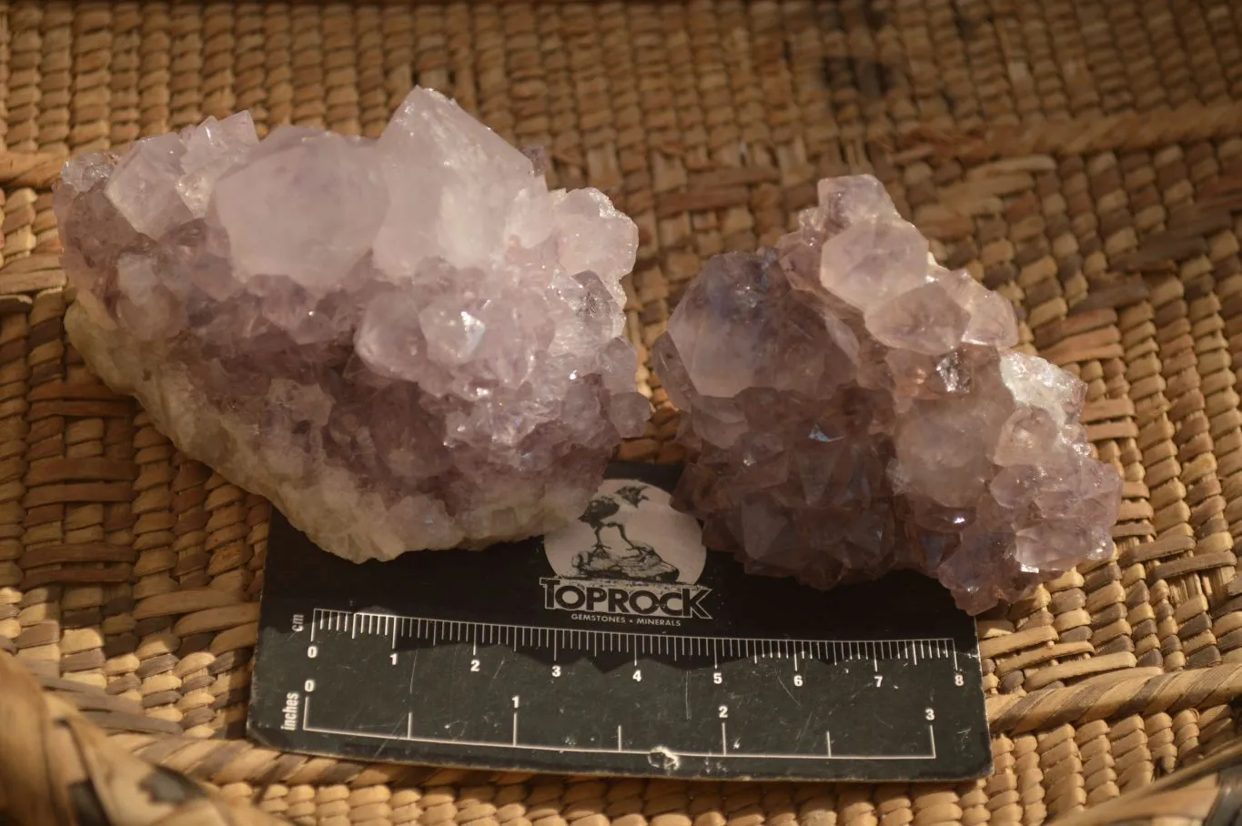 Natural Sunburst Cactus Flower Amethyst Quartz Clusters x 12 From Boekenhouthoek, South Africa