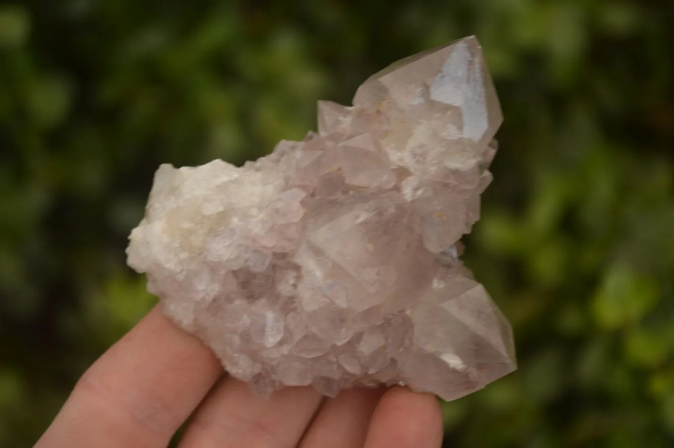 Natural Sunburst Cactus Flower Amethyst Quartz Clusters x 12 From Boekenhouthoek, South Africa