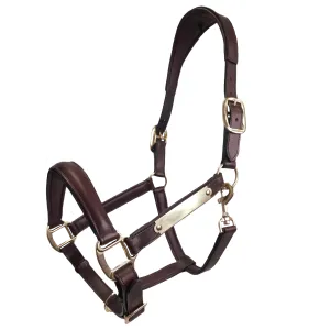 Paris Tack All Sides Padded Super Comfortable Curved Design Horse Leather Halter With Brass Name Plate