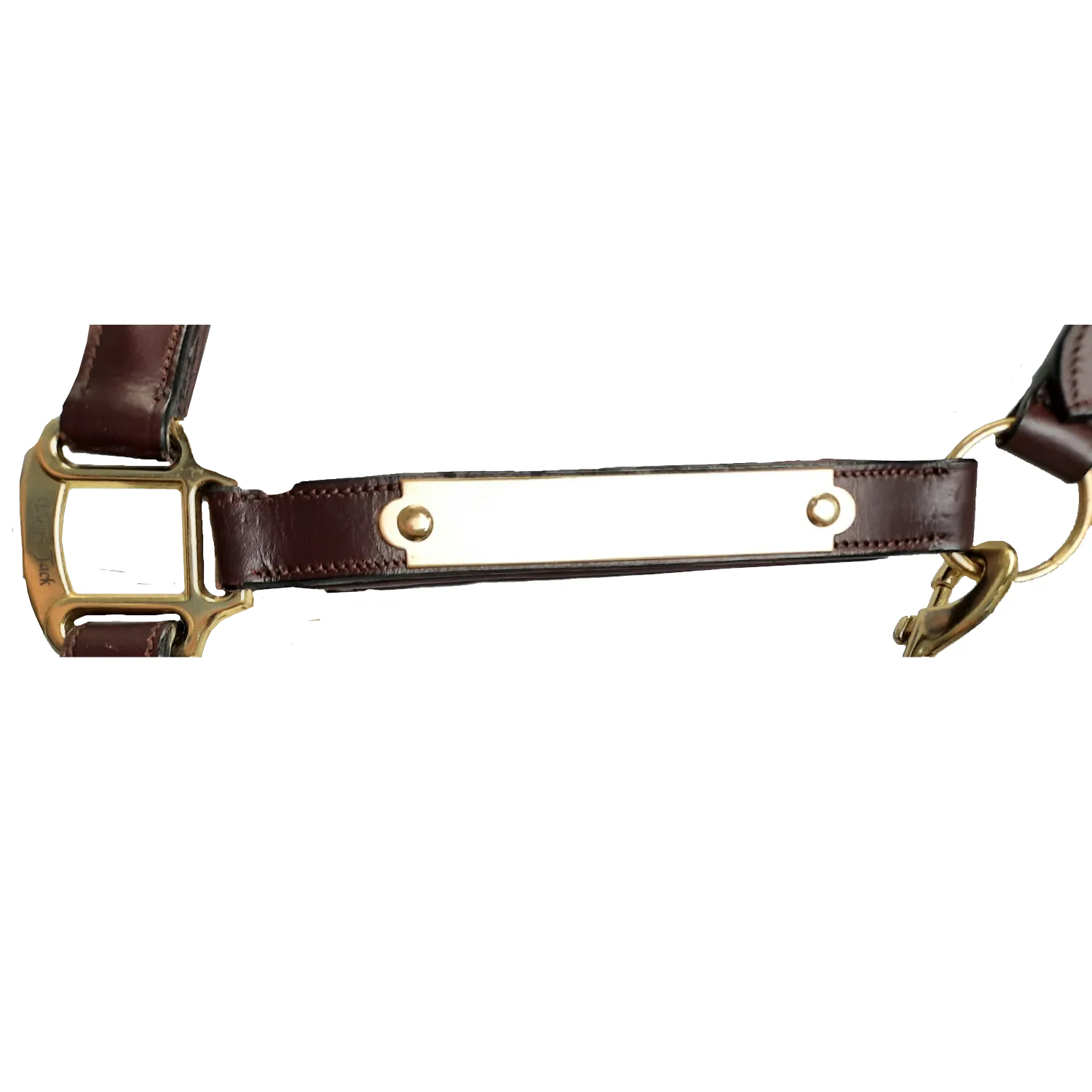 Paris Tack All Sides Padded Super Comfortable Curved Design Horse Leather Halter With Brass Name Plate