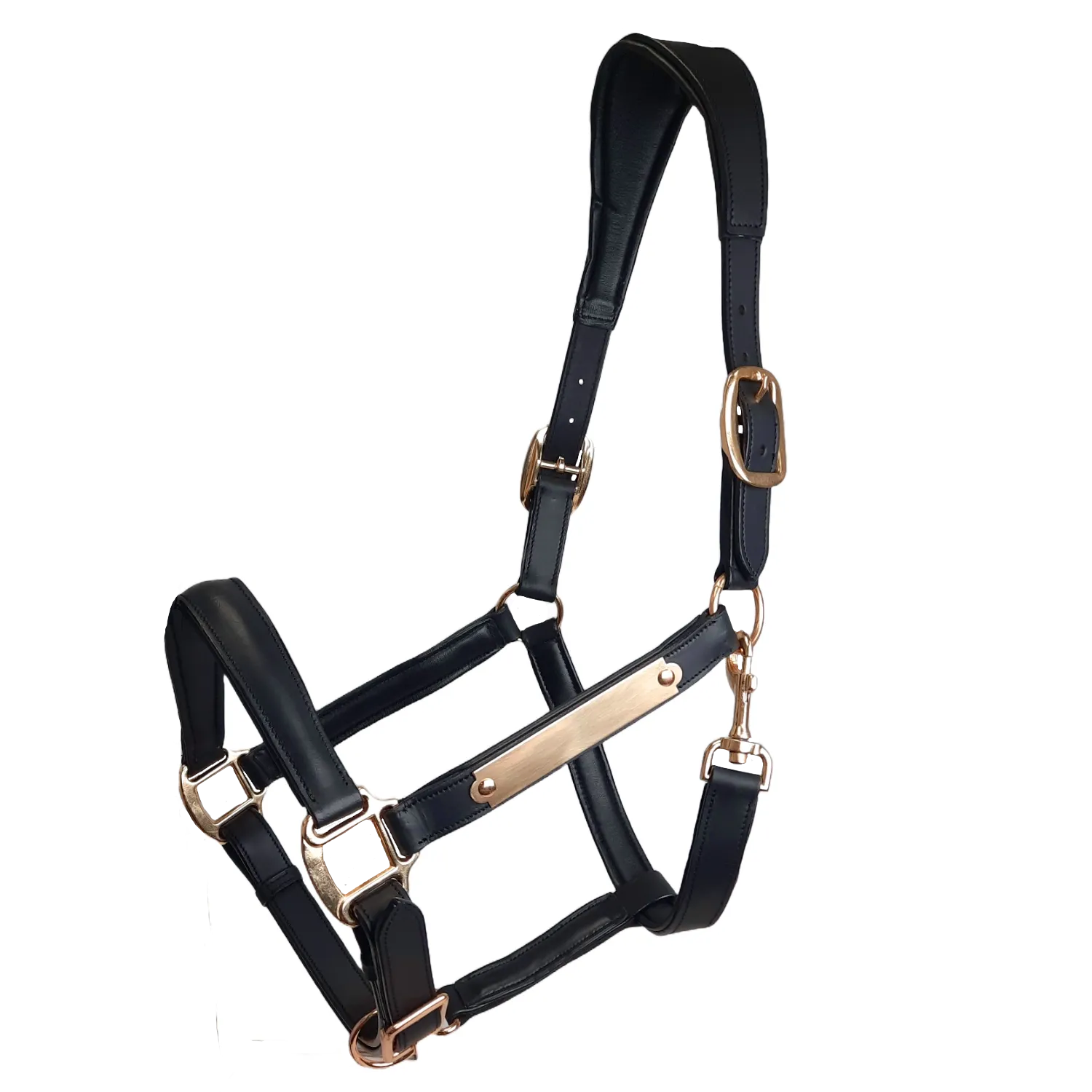 Paris Tack All Sides Padded Super Comfortable Curved Design Horse Leather Halter With Brass Name Plate