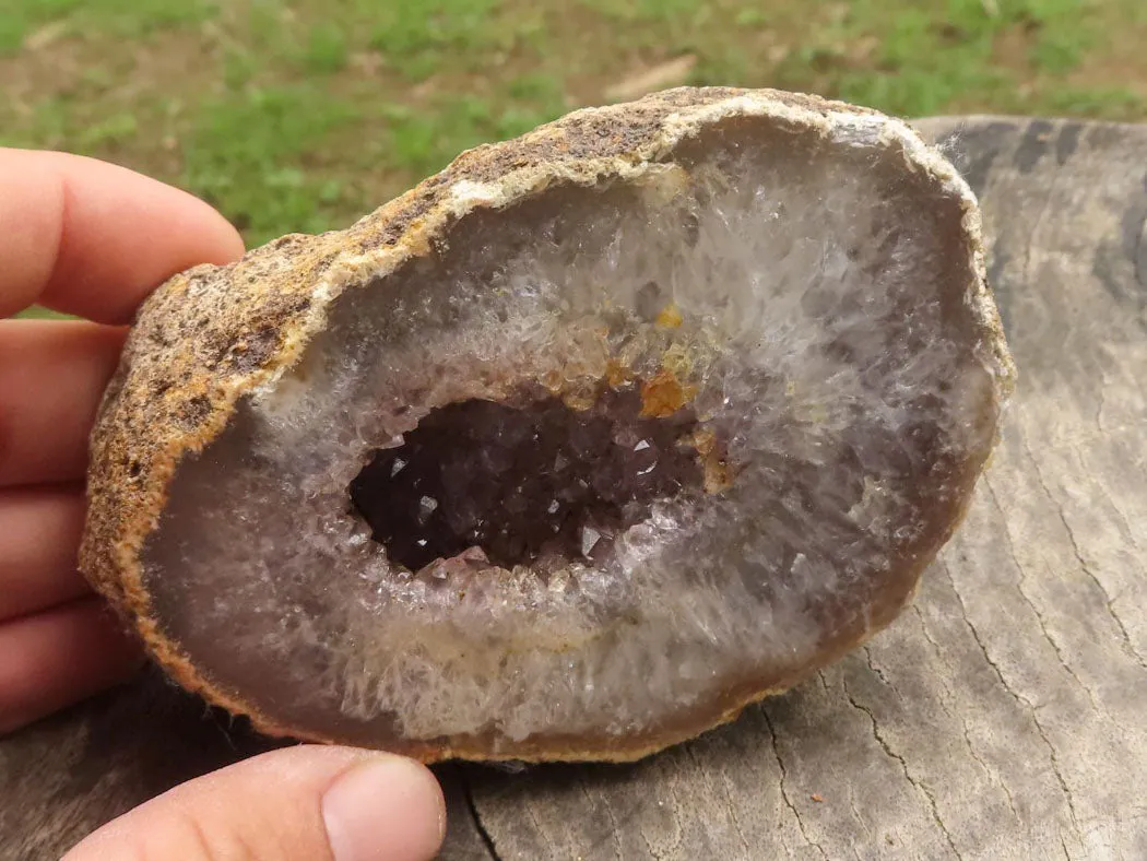 Polished Amethyst Agate Geodes x 5 From Zululand, South Africa