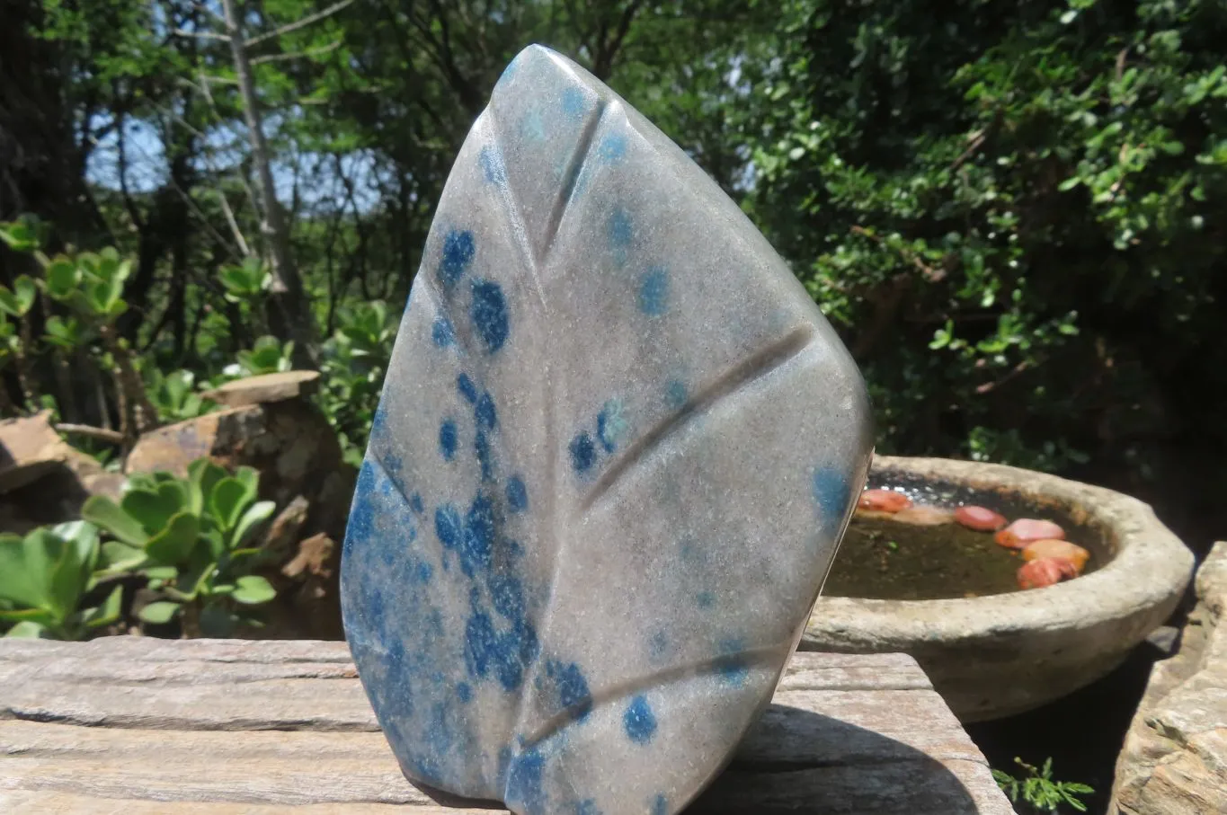 Polished Blue Spotted Spinel Quartz Standing Leaf Carvings x 2 From Madagascar