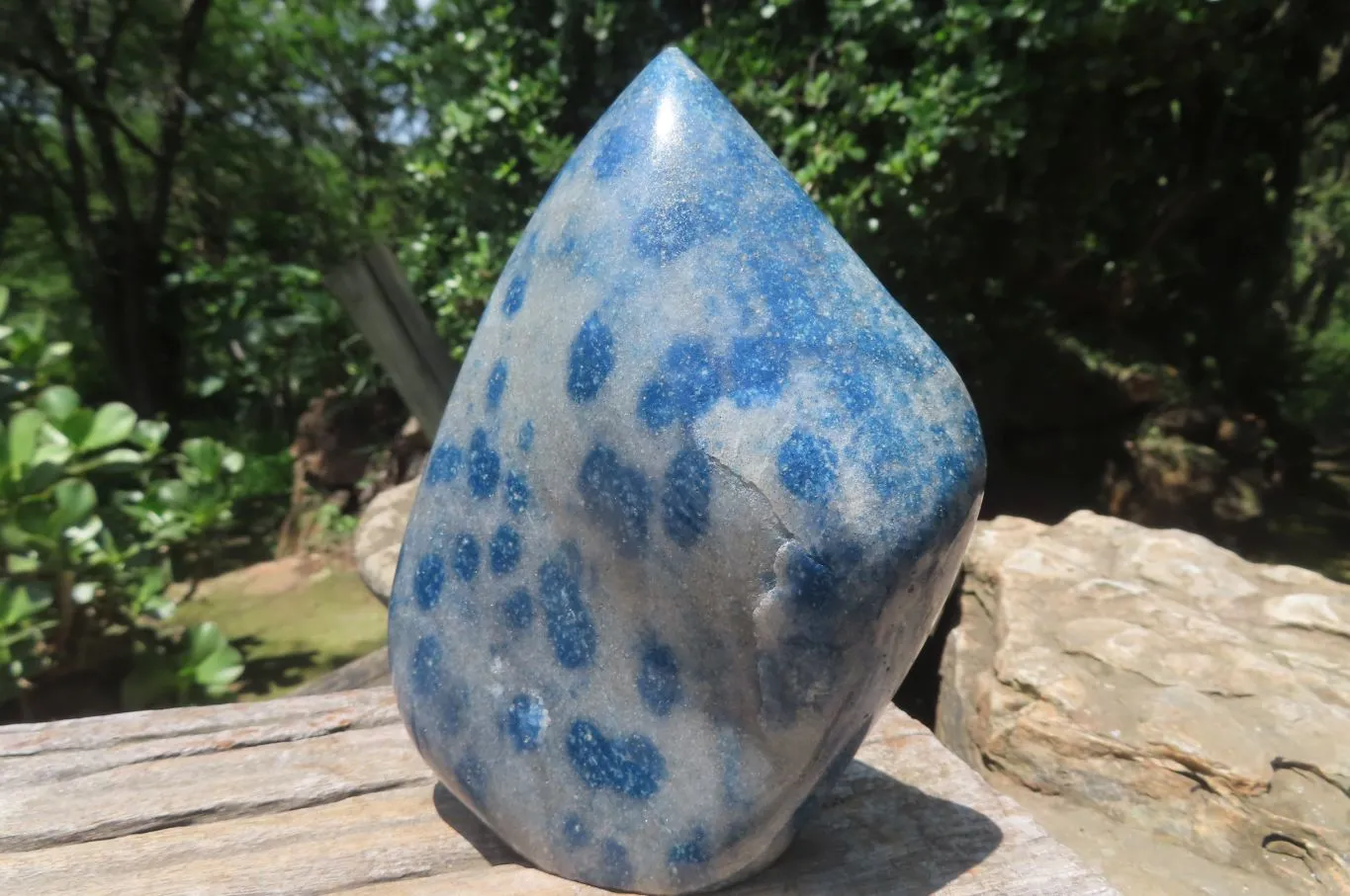 Polished Blue Spotted Spinel Quartz Standing Leaf Carvings x 2 From Madagascar