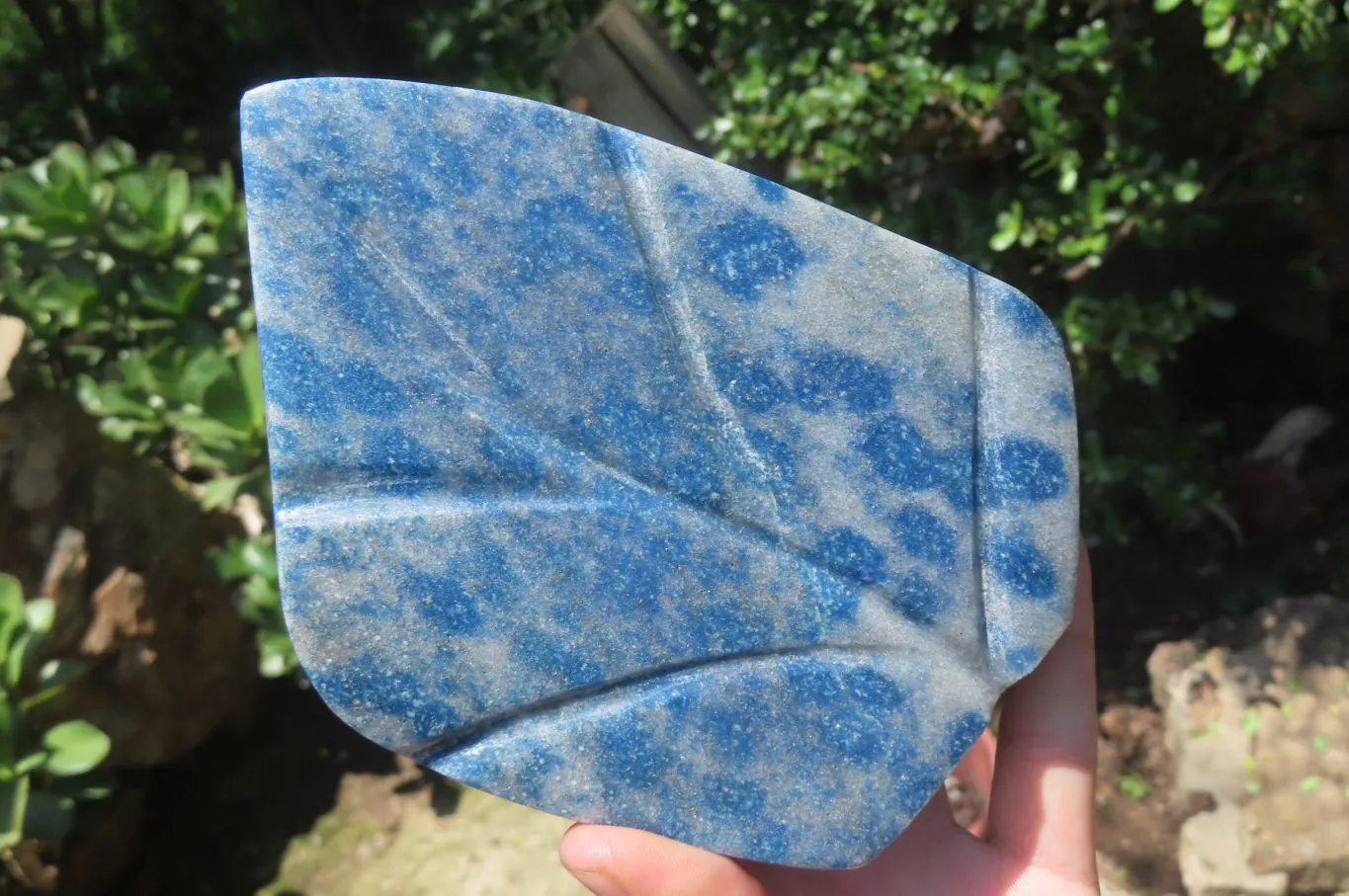 Polished Blue Spotted Spinel Quartz Standing Leaf Carvings x 2 From Madagascar